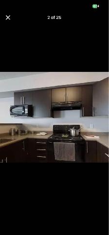 lease transfer 4 1/2 apartment