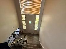 Full House Rental available now close to University of Toronto - Photo 4