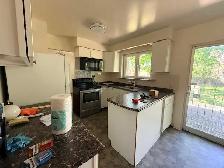 Full House Rental available now close to University of Toronto - Photo 5