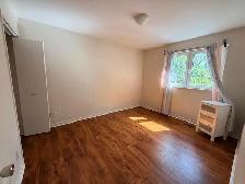 Full House Rental available now close to University of Toronto - Photo 7
