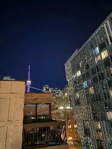 Fully Furnished 1 Bed, 1 Bath Condo For Long Term Lease - Photo 10