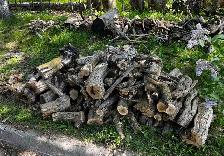 Free firewood