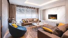 NAPOLEON AMANO 60' WALL HANGING ELECTRIC FIREPLACE $400 - Photo 2