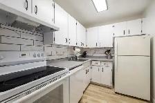 1-BEDROOM MAIN FLOOR APARTMENT | PRIVATE PATIO | RIVER HEIGHTS - Photo 5