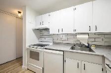 1-BEDROOM MAIN FLOOR APARTMENT | PRIVATE PATIO | RIVER HEIGHTS - Photo 6
