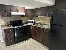 Private, Clean, Modern 1 BR, with Private kitchen and washroom.