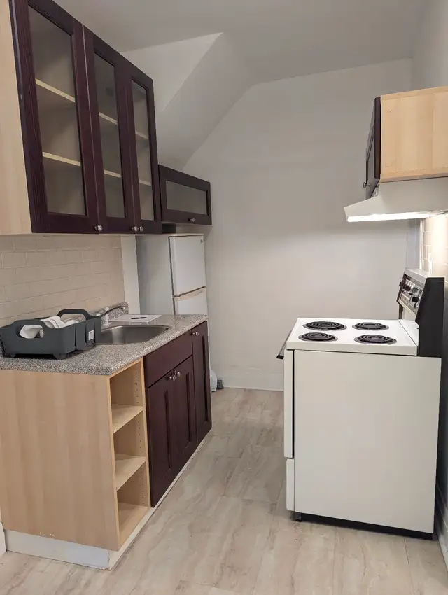 Annex/ Mirvish Village Bright 1 Bedroom Den Great location!