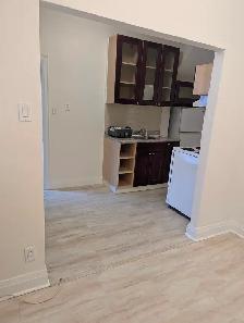 Annex/ Mirvish Village Bright 1 Bedroom Den Great location! - Photo 6