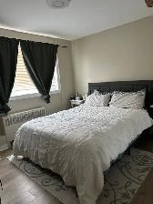 TWO BEDROOM APARTMENT CENTRAL OTTAWA WITH PARKING - Photo 4