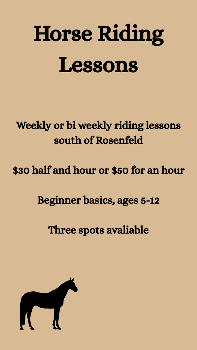 Beginner Horse Riding Lessons