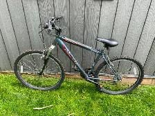 SCHWIN MOUNTAIN BIKE NEW