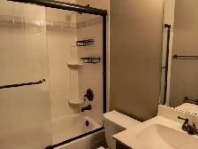 Bright and clean bedroom in Walk-out basement in SW - Photo 4