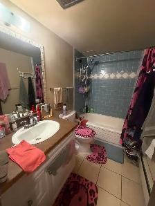 Bridgeland large 2 bedroom, Close to Downtown - Photo 8