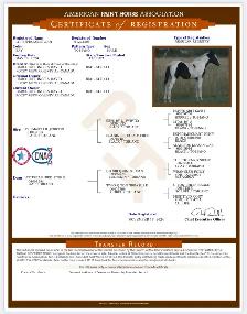 Registered Horse - Photo 5