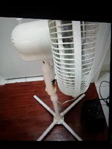 PEDESTAL FAN $20 OR TRADE