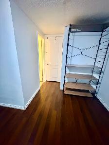 PRIV.BDRM WITH ENSUITE WASHRM IN RENO'D BSMT. INCL UTILITIES - Photo 2