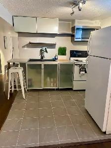 PRIV.BDRM WITH ENSUITE WASHRM IN RENO'D BSMT. INCL UTILITIES - Photo 4