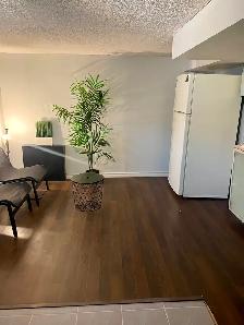PRIV.BDRM WITH ENSUITE WASHRM IN RENO'D BSMT. INCL UTILITIES - Photo 7