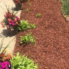 Flowerbed Mulch - Photo 3