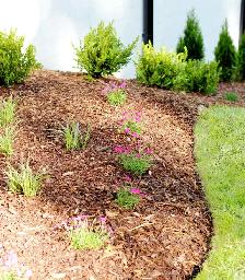 Flowerbed Mulch - Photo 5