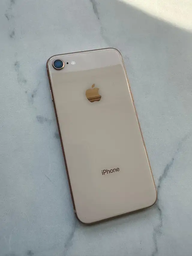 iPhone 8 256GB Airpods/adapter/Delivery