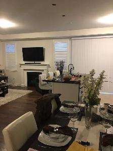California shutters/Zebra shades  16473275500 - Photo 9