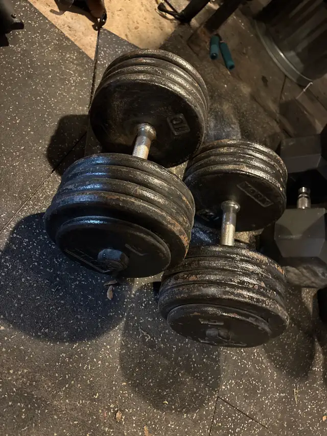 95 lbs York dumbells