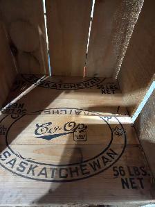 VINTAGE WOOD CRATE - Photo 3
