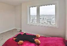 Three Bedroom Townhome Condo for Rent/ End Unit/Barrhaven/Nepean - Photo 14