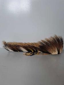 18' Native Roach AS IS (31995082) - Photo 2