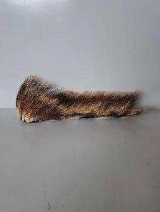 18' Native Roach AS IS (31995082) - Photo 3