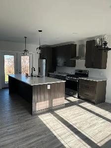 5 BDM 3 BATH FINISHED BASEMENT COMPLETELY RENOVATED HOME IN GIML - Photo 6