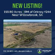 Productive Farmland | RM of Orkney # 244 | Near Willowbrook, SK