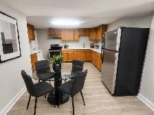 Beautiful Spacious Basement 1 Bedroom Apartment for Rent Ajax
