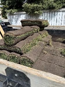 35 rolls of sod 2’x5’