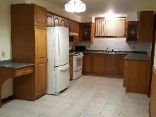 2 BEDROOM BASEMENT RENTAL