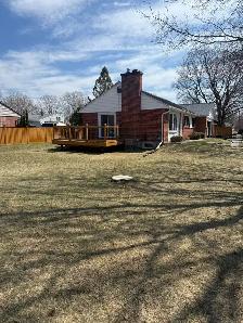 Tree Service - Photo 3