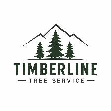 Tree Service - Photo 7