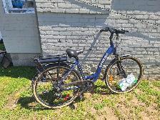 Genesis E-Bike