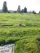 Private sales - Forest Lawn Cemetery Plots – Burnaby - $18,888 - Photo 2