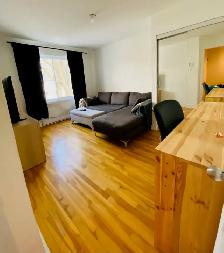 Grand 4 1/2  Ahuntsic - RDC Avec Cour - Photo 9