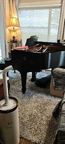 Tomorrow! Free classic piano charity concert in west island! - Photo 5