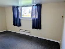 Clean, Spacious and Vacant 2 Bedroom Apartment For Rent - Photo 3