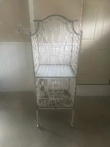 cage oiseau