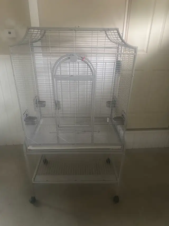 cage oiseau