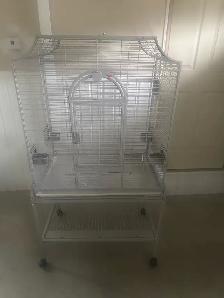 cage oiseau