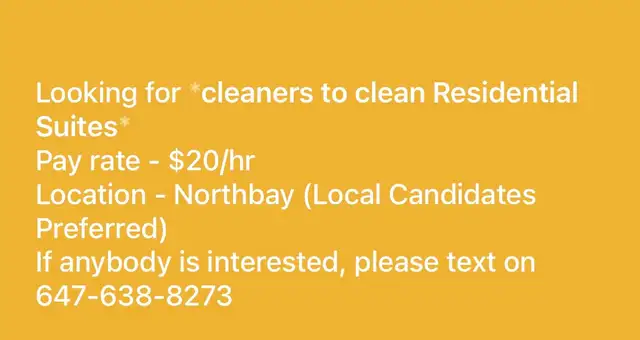 Residential Cleaner
