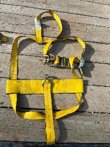 Car Dolly tie down straps