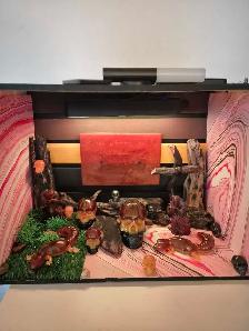 Ouija and skull display