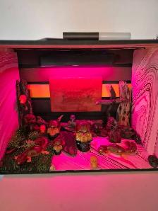 Ouija and skull display - Photo 4